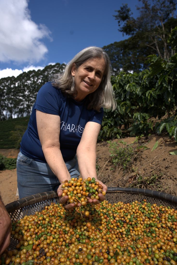 Andréa colhendo cerejas de café na fazenda