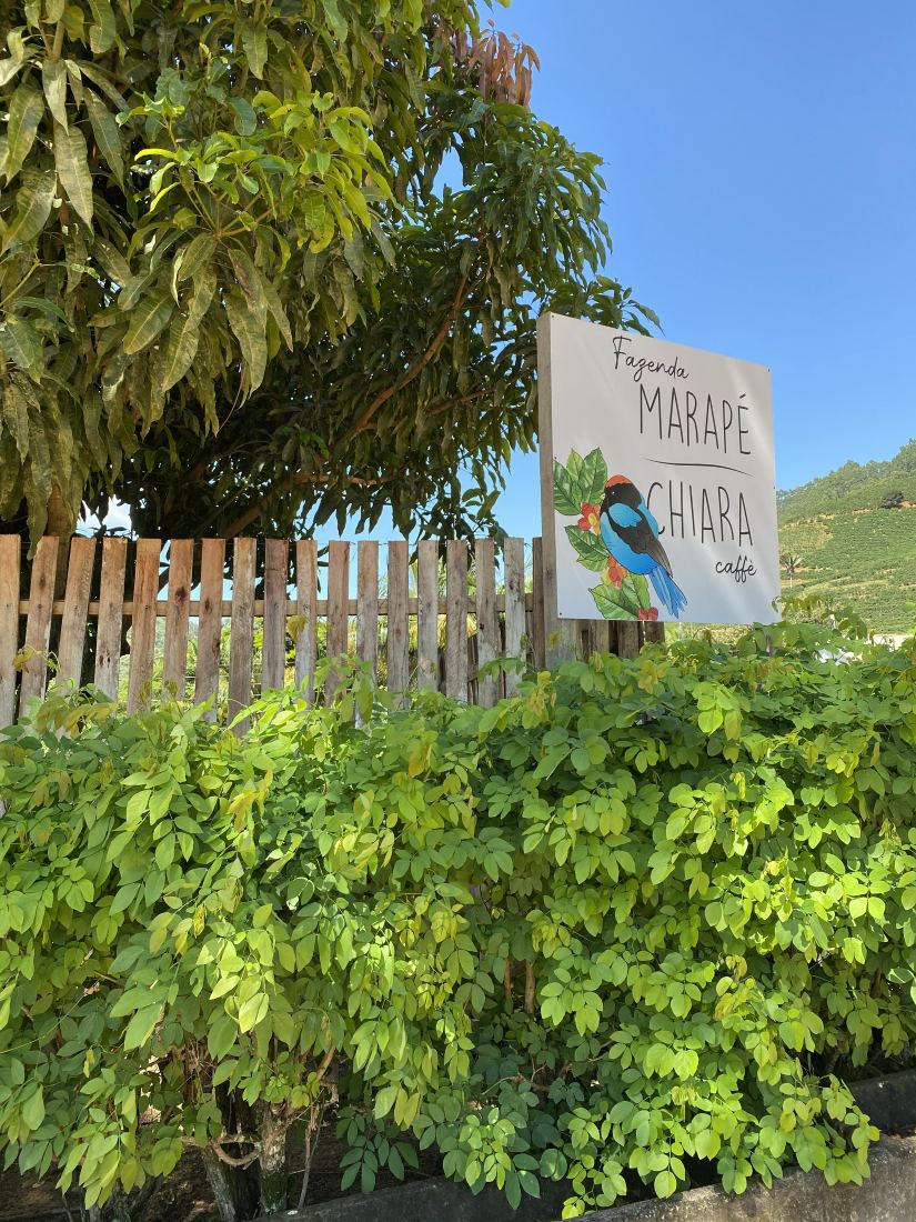 Placa da Fazenda Marapé Chiara