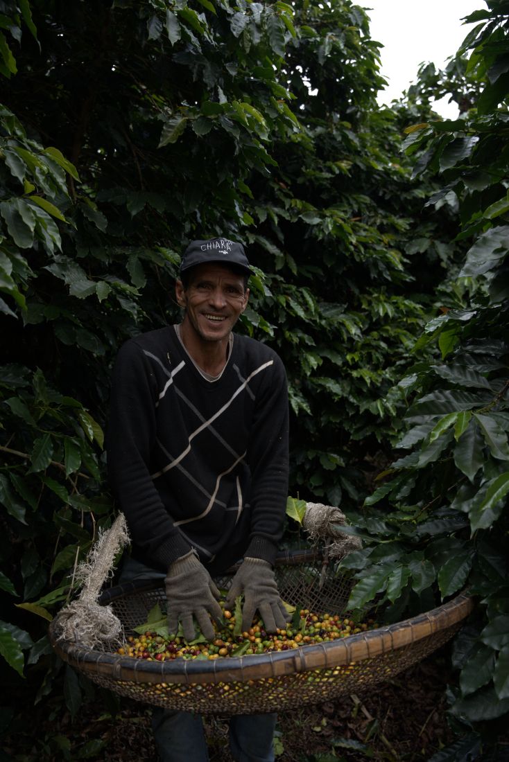 Trabalhador sorrindo durante a colheita
