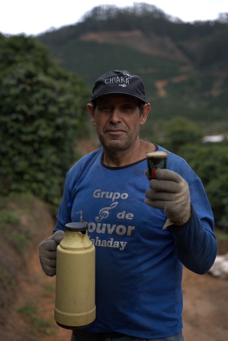 Colheita cuidadosa das cerejas de café